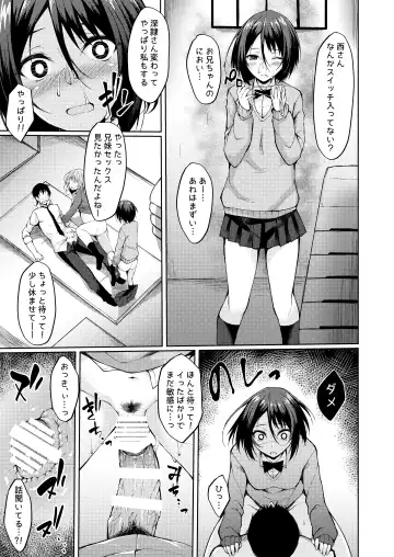 [Stealyy] PROVISIONAL NAME Nishi&Mirei Fhentai - Page 14