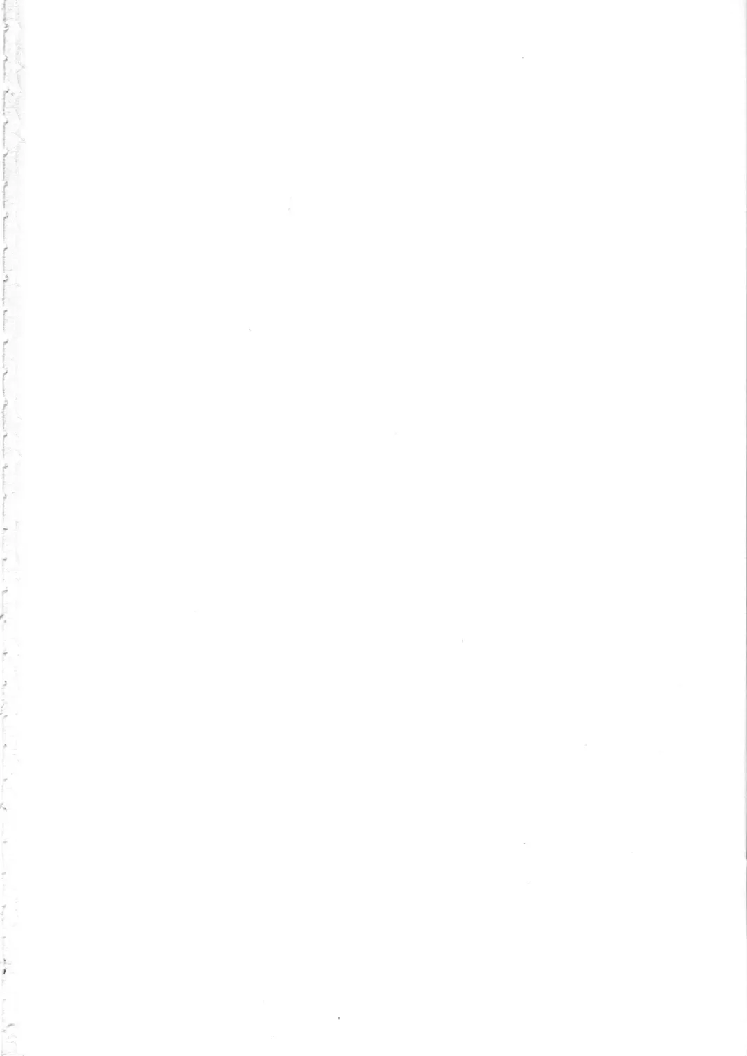 [Kapa] KBYD to 4P Suru Hon Fhentai - Page 29