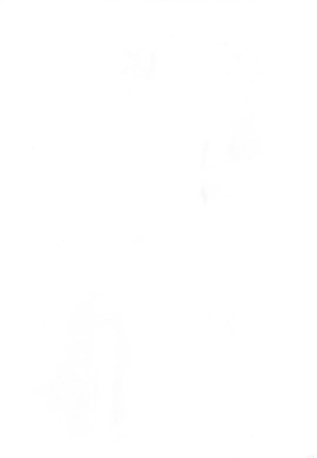 [Solopipb] Shiragasane -Tsuzure- Fhentai - Page 42