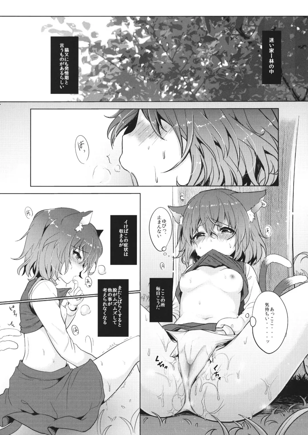 [Kayama Rim] Chen-chan no Hatsujouki Fhentai - Page 3