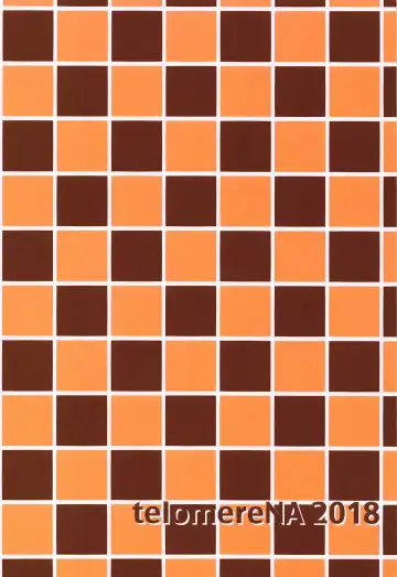 [Gustav] Minami datte Yuuwaku Shimasu yo? Fhentai - Page 70