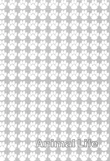 [Ca - Midori] Animal Life Fhentai - Page 19