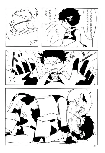 [Ryome Gantai] Minami Kouen Shotamiruku Bokujou Fhentai - Page 33