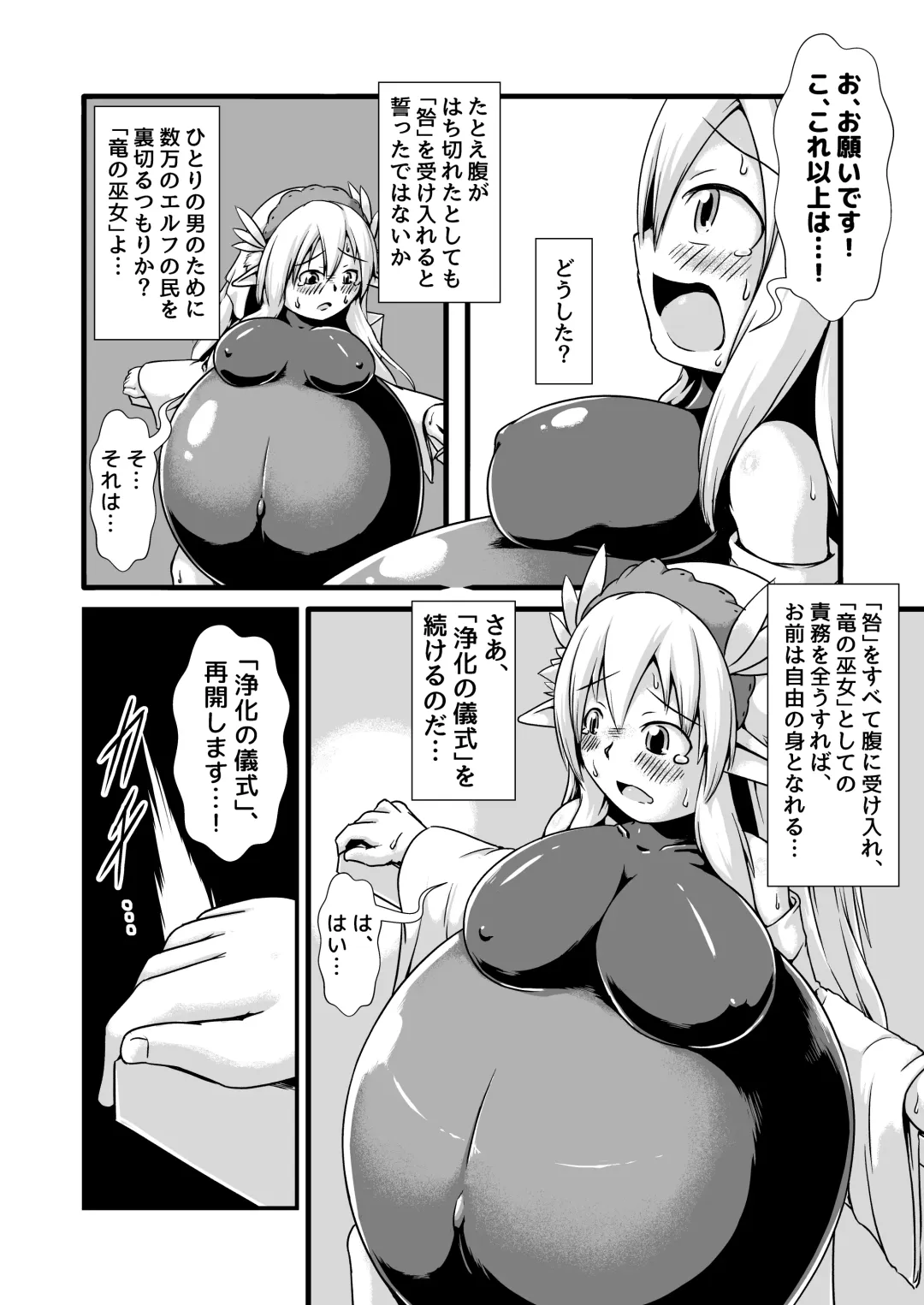 [Binf] Elf no Ryuu no Miko to Jouka no Gishiki Fhentai - Page 12