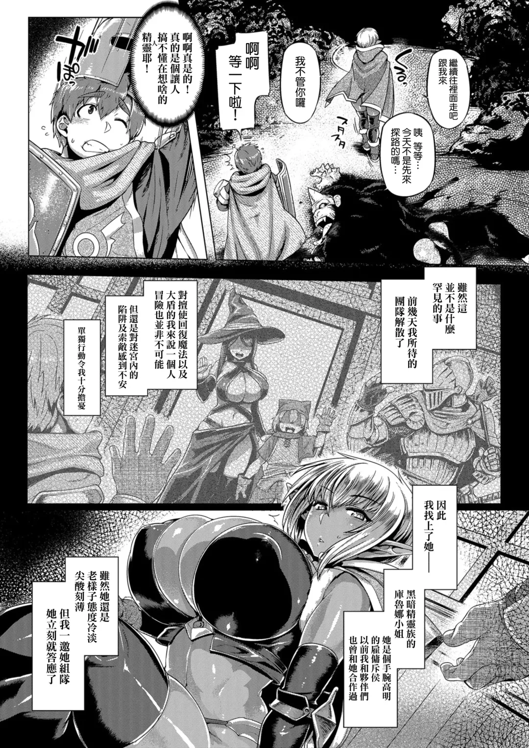 [Tabigarasu] Dark Elf Control Fhentai - Page 6