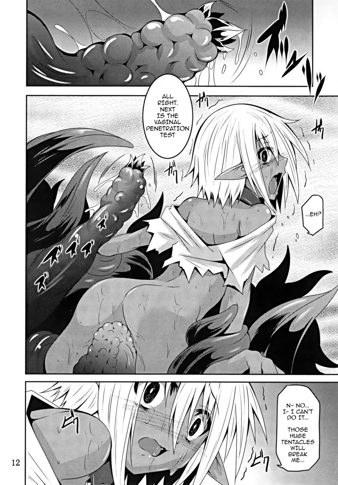 [Fumihiro] DARK ELF BREAKING Fhentai - Page 11