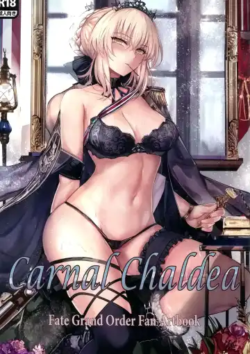 Read [Misaka12003] Carnal Chaldea - Fhentai
