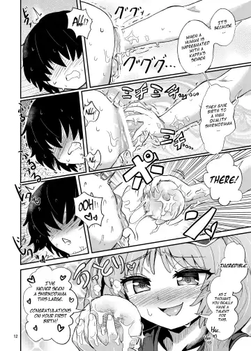 [Magifuro Konnyaku] Futanari Nitori-chan no Shirikodama Daisakusen | Futanari Nitori-chan's Big Shirikodama Operation! Fhentai - Page 12