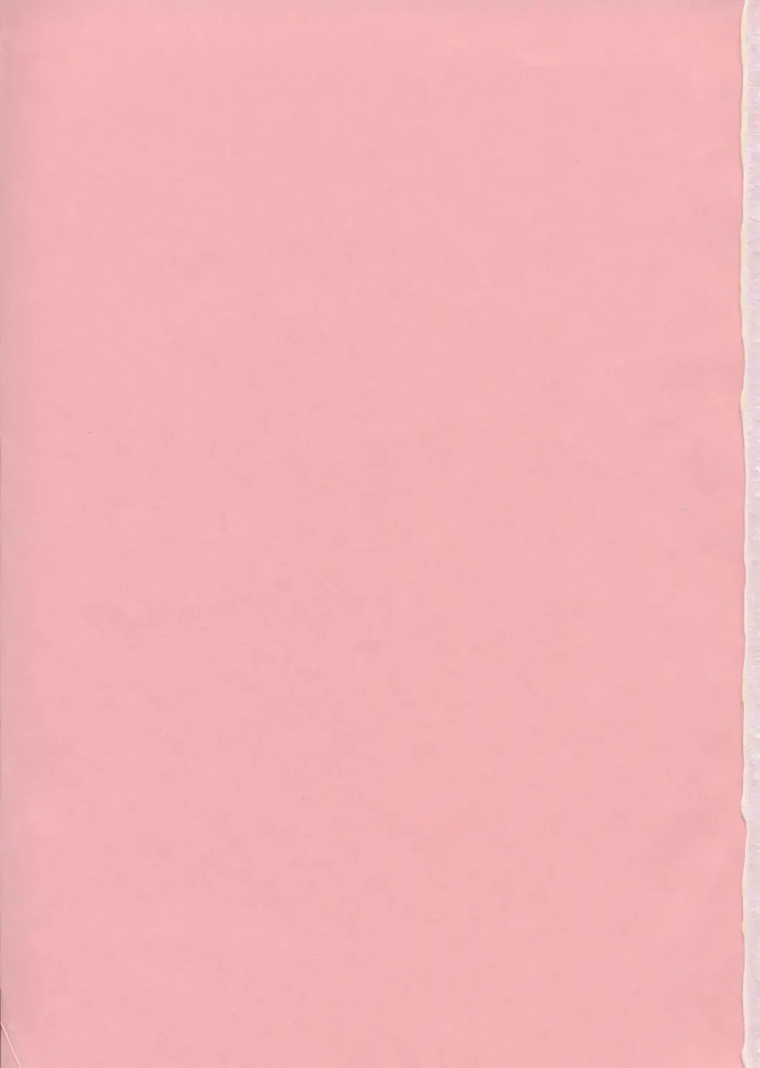 [Kimimaru] Special Kimigabuchi 2000 Nen Summer Prototype Fhentai - Page 2