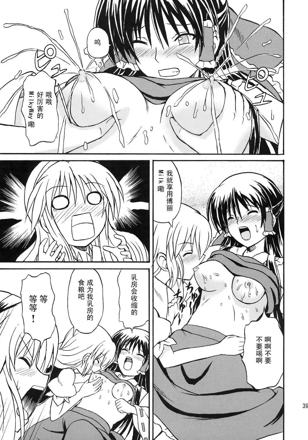 [Takaku Toshihiko] Touhou Youjo Ranbu 8 Fhentai - Page 39
