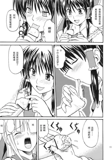 [Takaku Toshihiko] Touhou Youjo Ranbu 8 Fhentai - Page 11