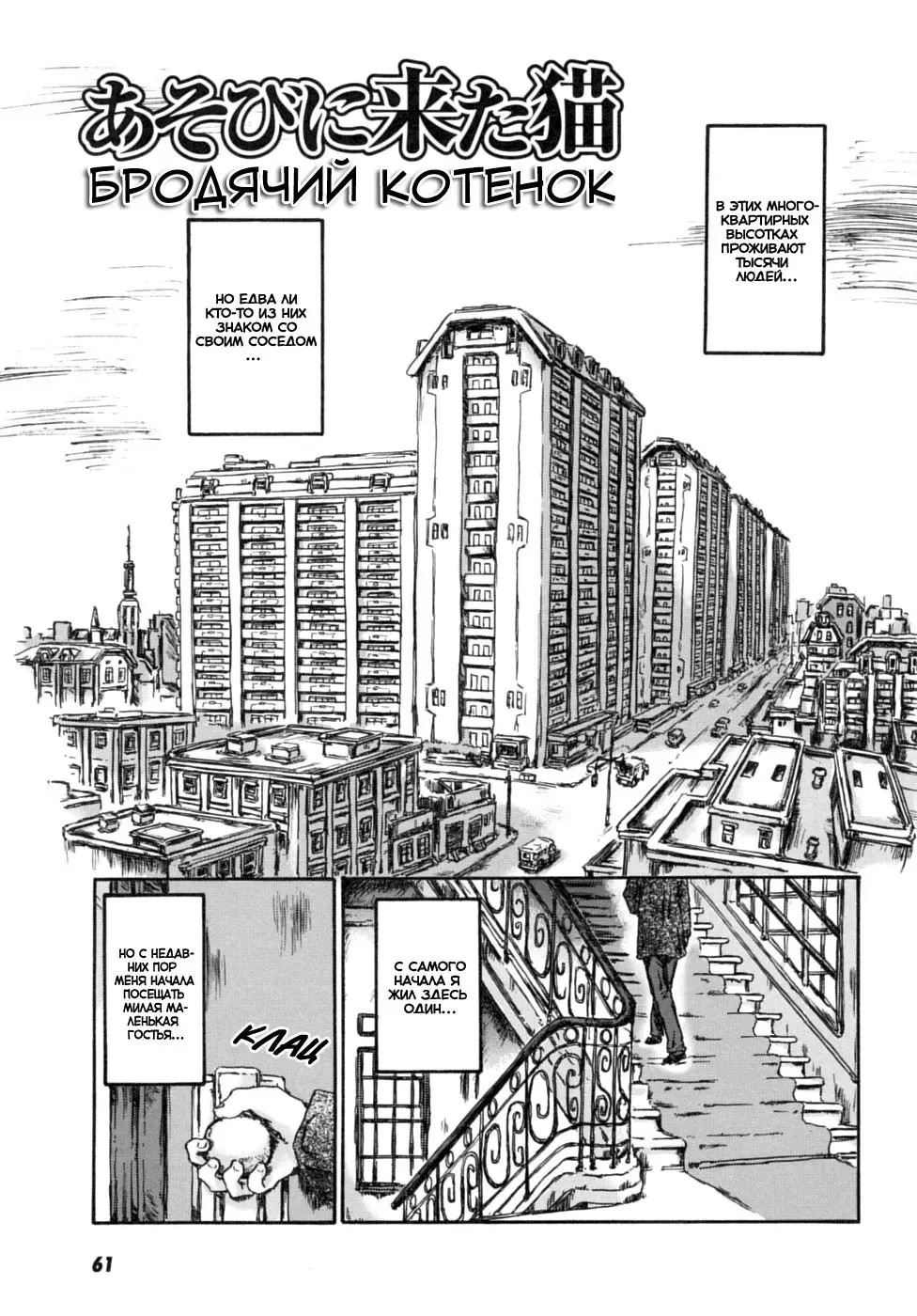 [Shiawase 1500] Asobi ni Kita Neko | Бродячий котенок Fhentai - Page 1