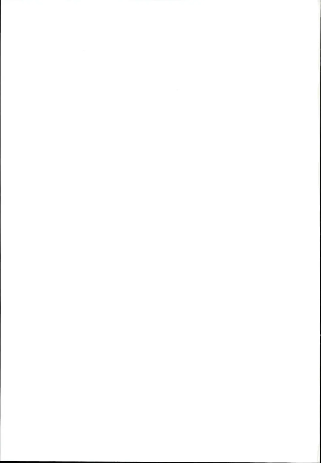 [Kosuke] Futari no Bonnou Hassan!! Fhentai - Page 23