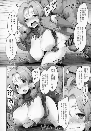 [Seura Isago] Raiders! case:2 -Mountain Kingdom- Fhentai - Page 21