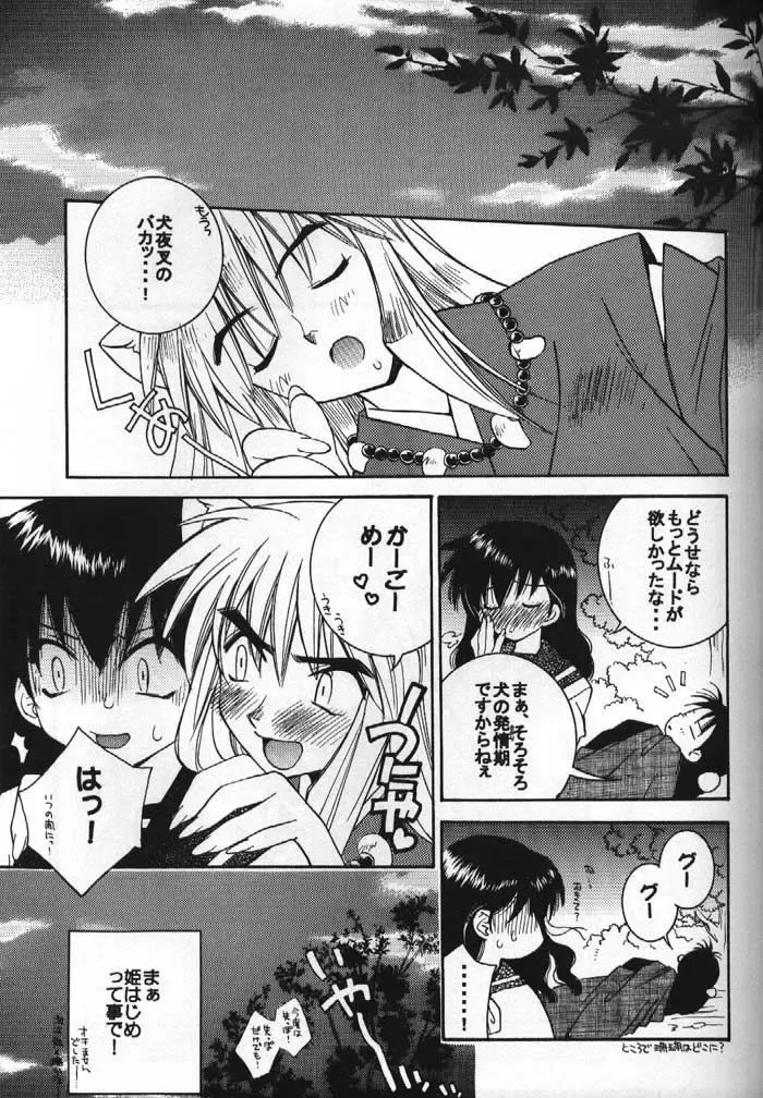 [Nekomaru] Inuyasha Doku Hon Fhentai - Page 10