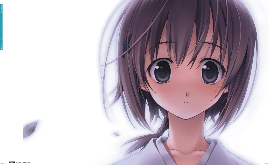 [Hashimoto Takashi - Suzuhira Hiro] Yosuga no Sora VISUAL FANBOOK Fhentai - Page 12