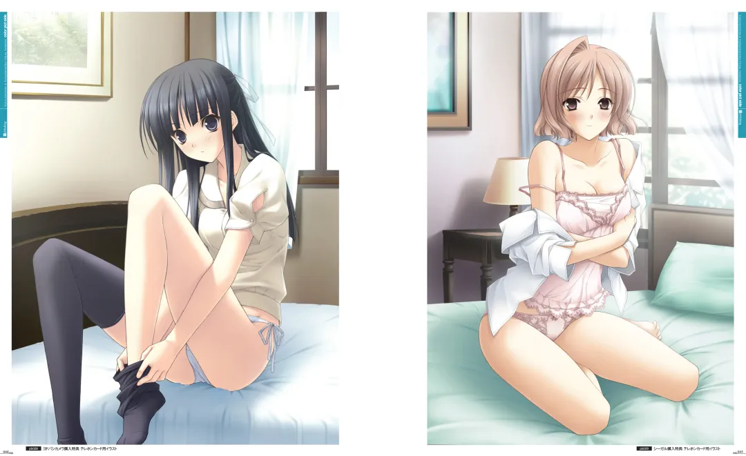 [Hashimoto Takashi - Suzuhira Hiro] Yosuga no Sora VISUAL FANBOOK Fhentai - Page 27