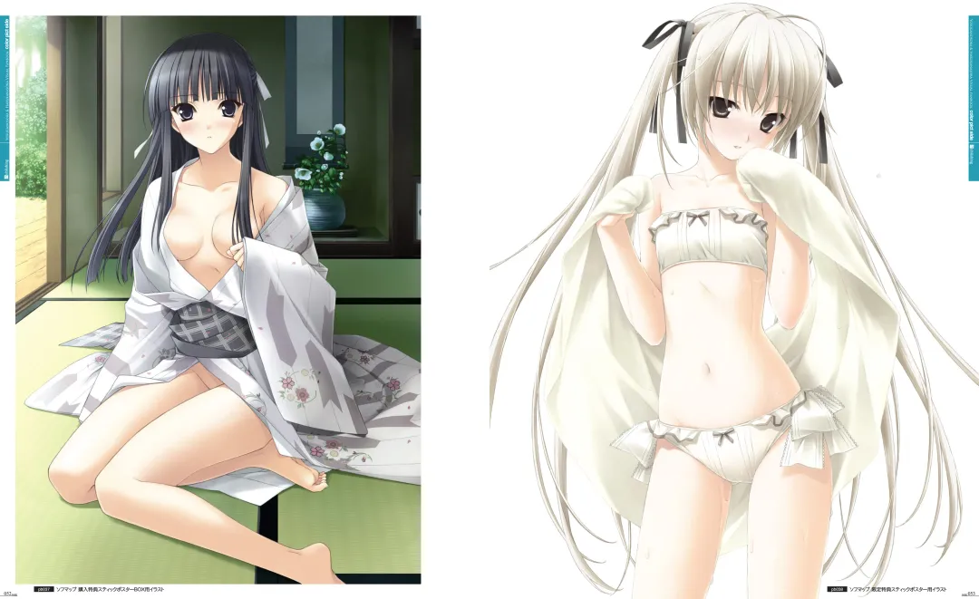 [Hashimoto Takashi - Suzuhira Hiro] Yosuga no Sora VISUAL FANBOOK Fhentai - Page 31