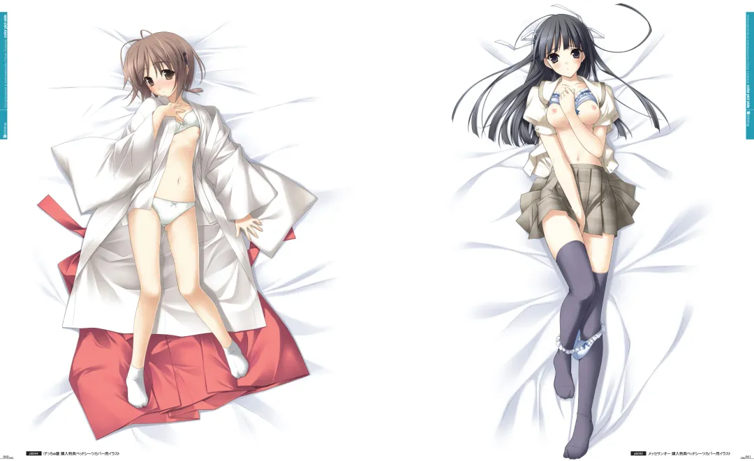 [Hashimoto Takashi - Suzuhira Hiro] Yosuga no Sora VISUAL FANBOOK Fhentai - Page 35