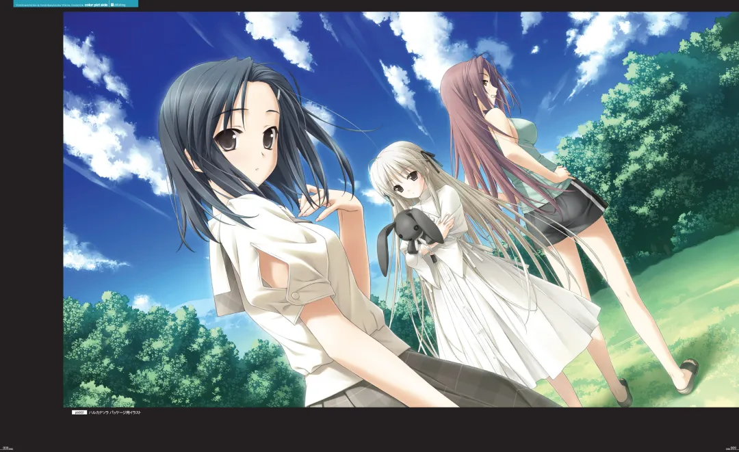 [Hashimoto Takashi - Suzuhira Hiro] Yosuga no Sora VISUAL FANBOOK Fhentai - Page 9