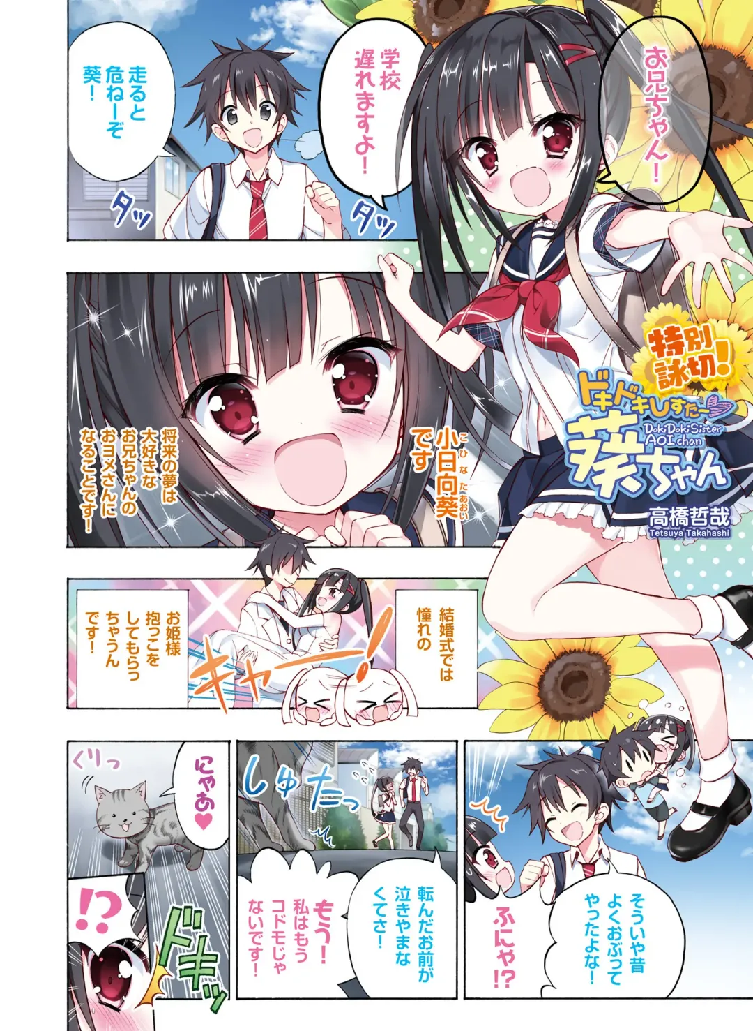 電撃おとなの抱き枕王 Vol.01 Fhentai - Page 48