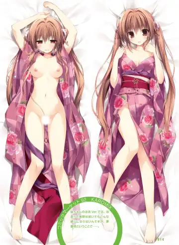 電撃おとなの抱き枕王 Vol.01 Fhentai - Page 14