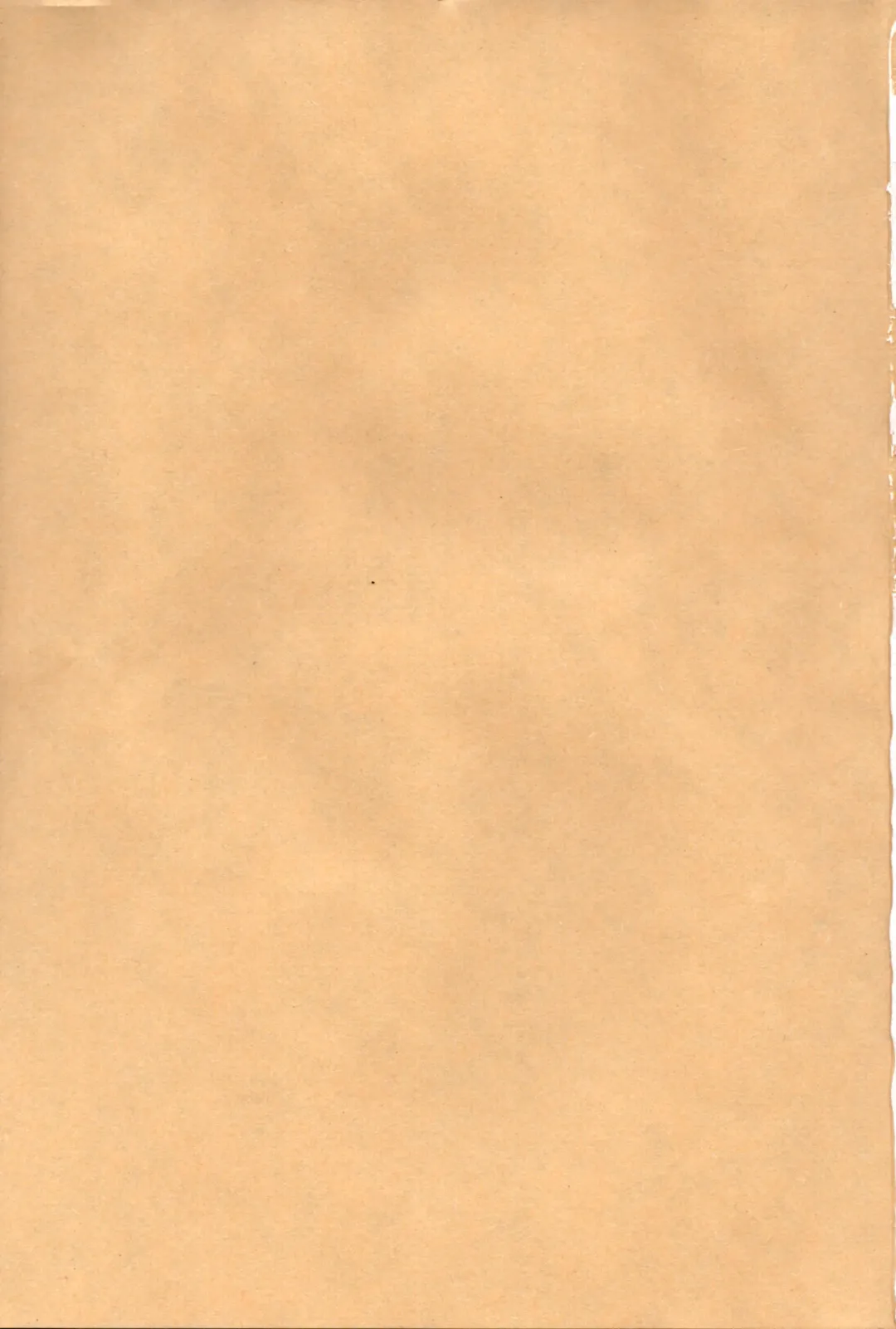 [Itameshi] Fukujuu Fhentai - Page 3