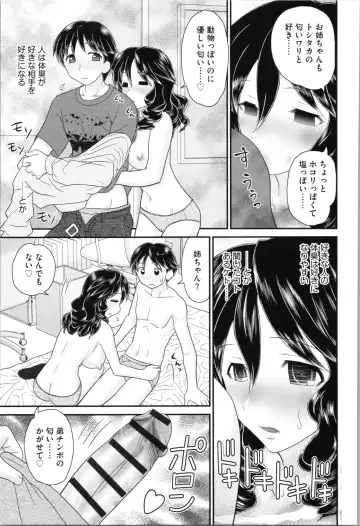 [Yamazaki Umetarou] Aneman. Nee-chan no Ero Manko ga Erosugite Yabai Fhentai - Page 31