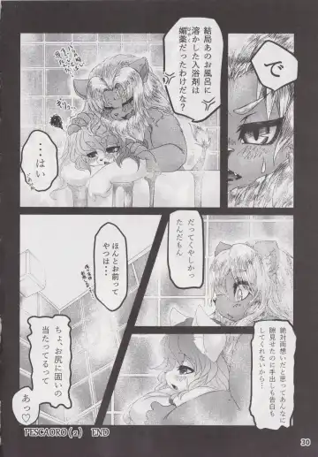 Waffle Sand Vol. 19 Fhentai - Page 29