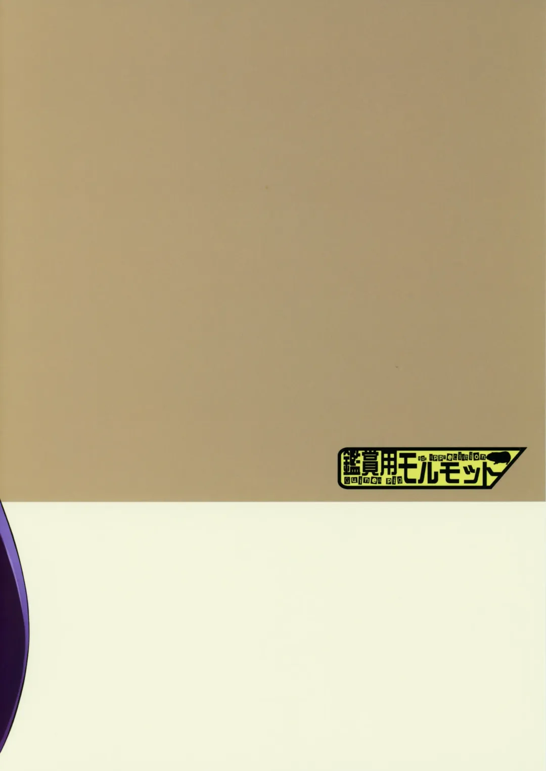 [Mr.lostman] DESERT BEAUTY NAKED - NITOCRIS & CASTER OF NIGHTLESS CITY Fhentai - Page 20