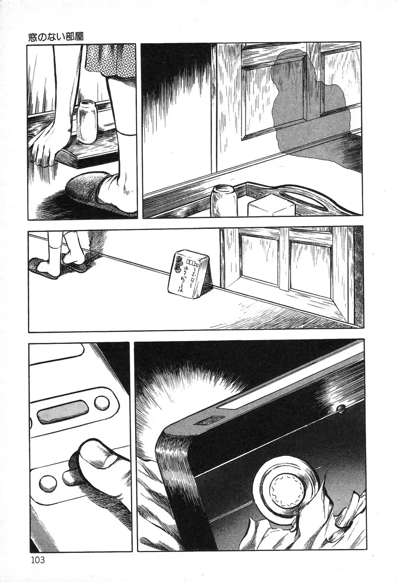 [Hayami Jun] Utsukushiki Kussetsu | Beautiful Imprint Fhentai - Page 103