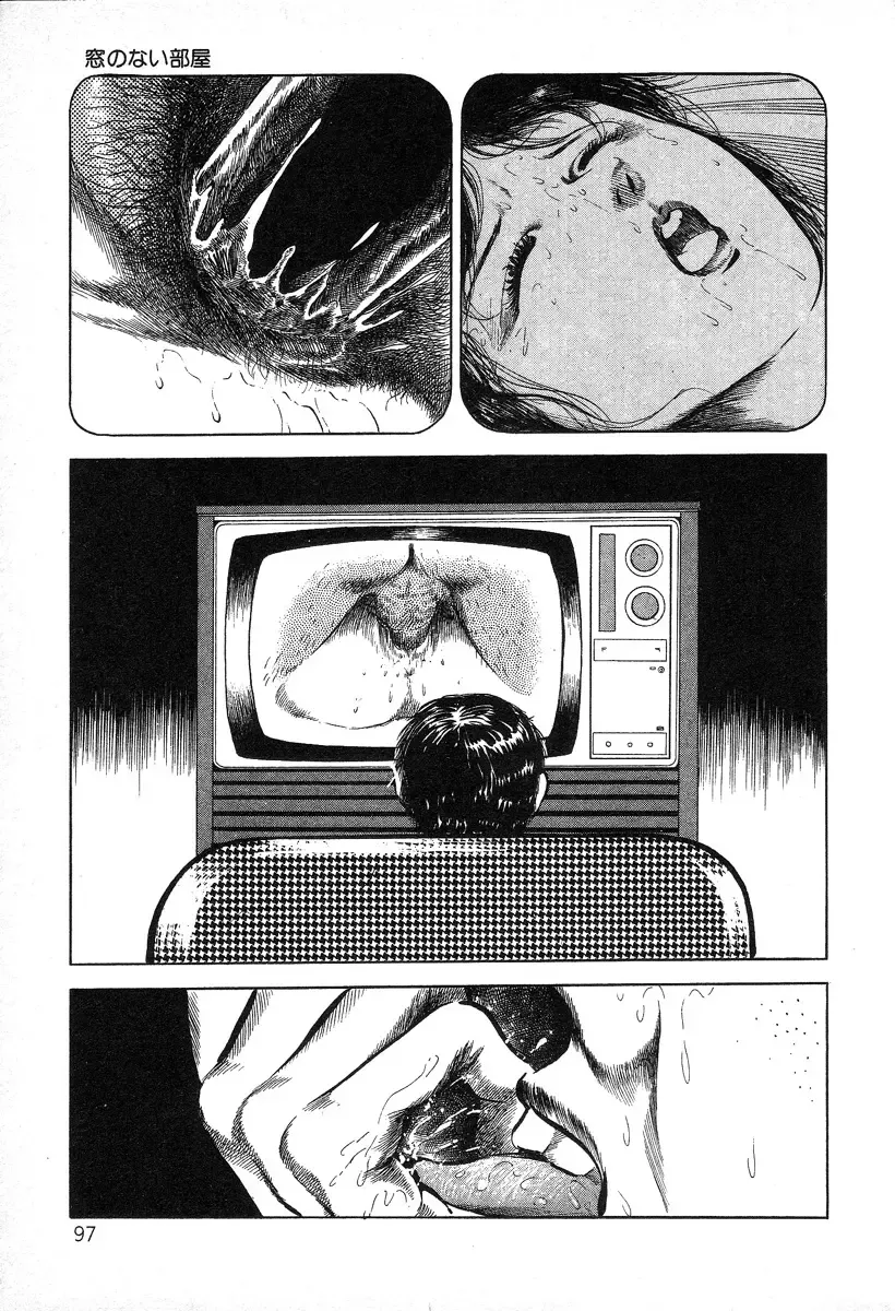 [Hayami Jun] Utsukushiki Kussetsu | Beautiful Imprint Fhentai - Page 97