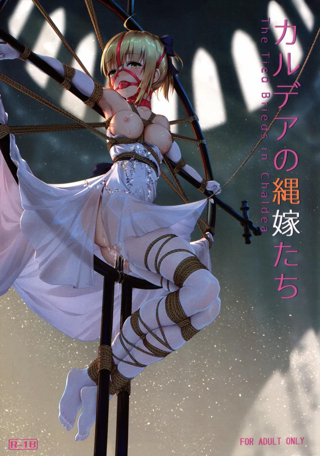 [Himitsu] Chaldea no Nawa Yome-Tachi Fhentai - Page 1