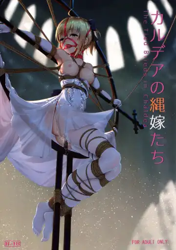 Read [Himitsu] Chaldea no Nawa Yome-Tachi - Fhentai