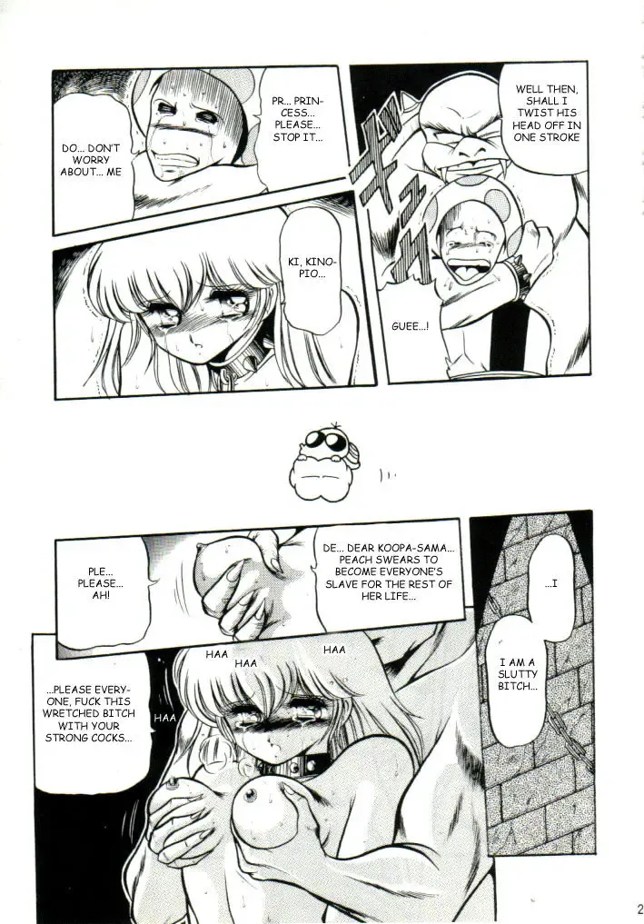 [Horikawa Gorou] Super Mario Collection Fhentai - Page 24