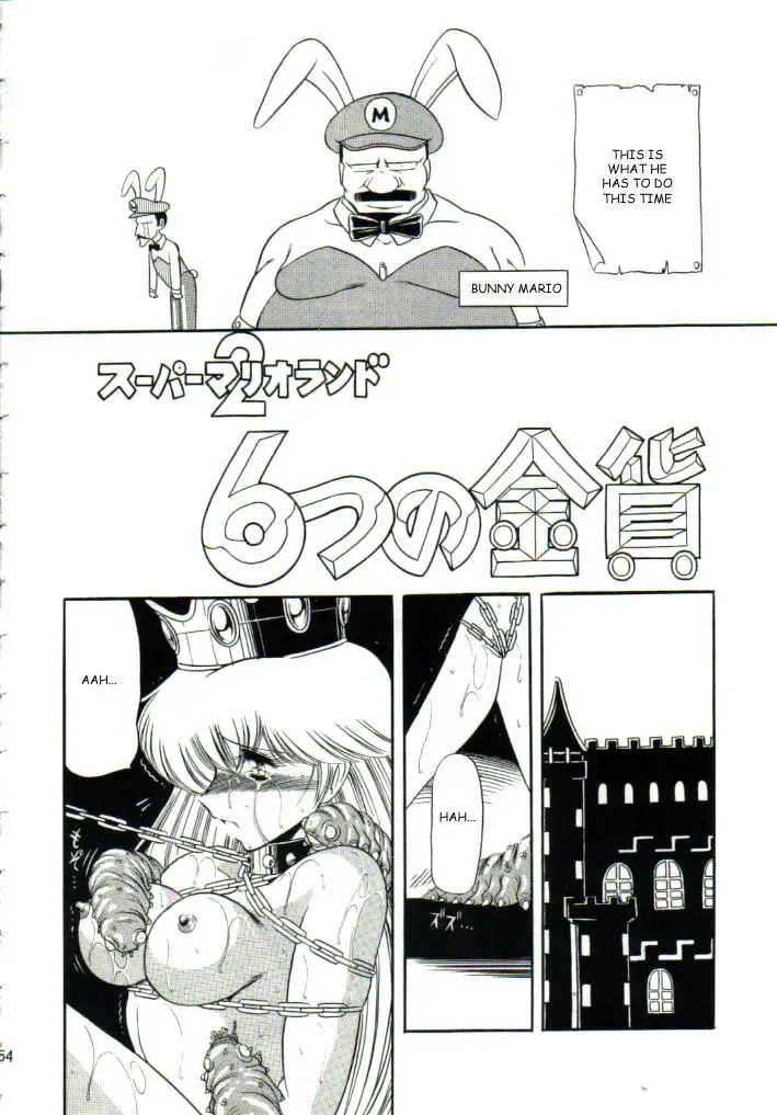 [Horikawa Gorou] Super Mario Collection Fhentai - Page 51