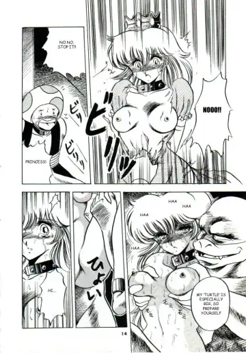 [Horikawa Gorou] Super Mario Collection Fhentai - Page 11