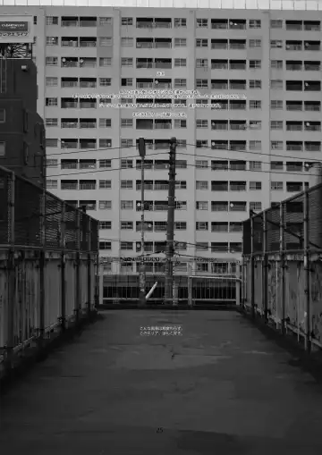 [Haritama Hiroki] Usugitanai Cinderella Fhentai - Page 25