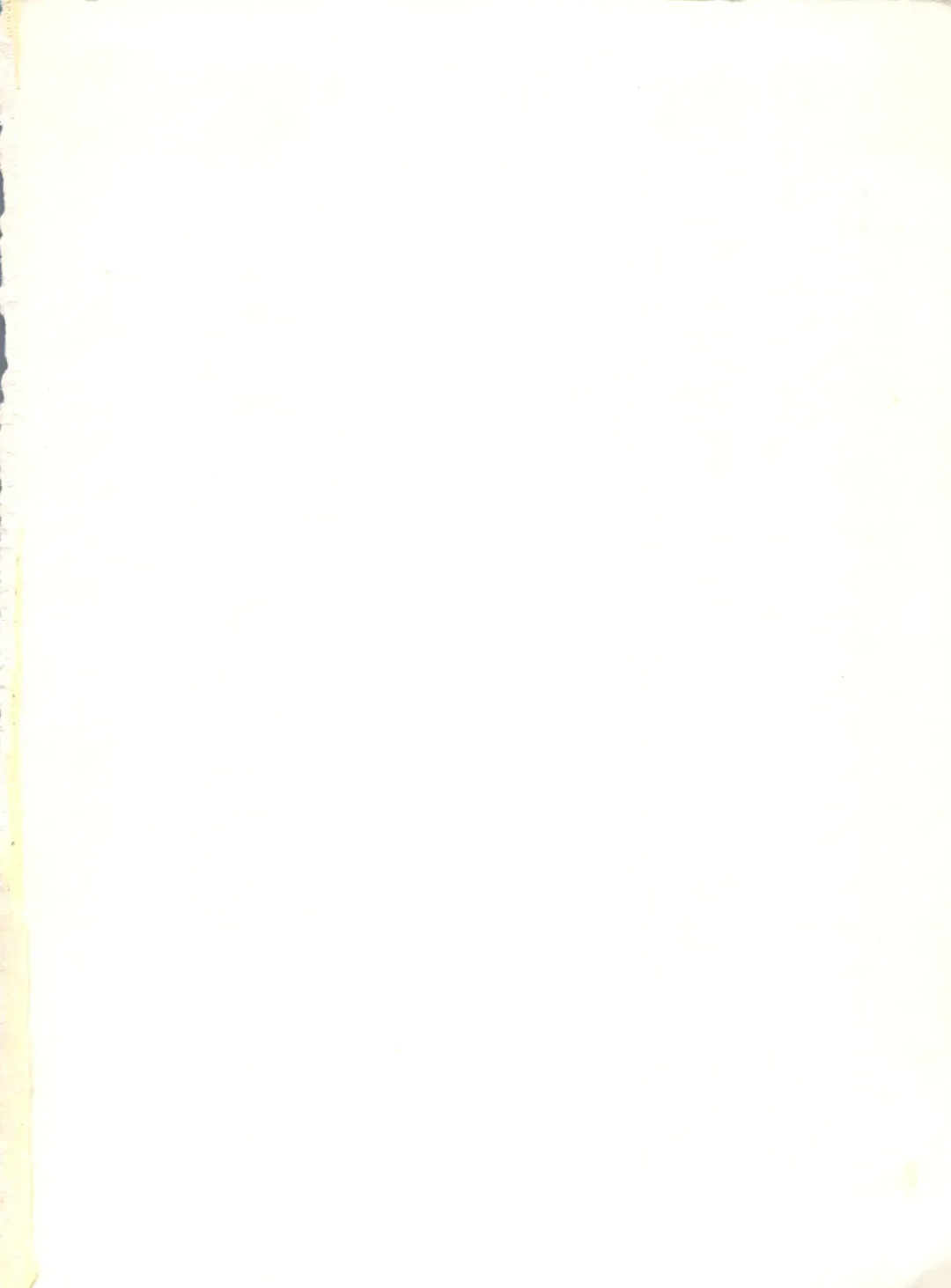 XSeed Soukan Junbigou Fhentai - Page 2