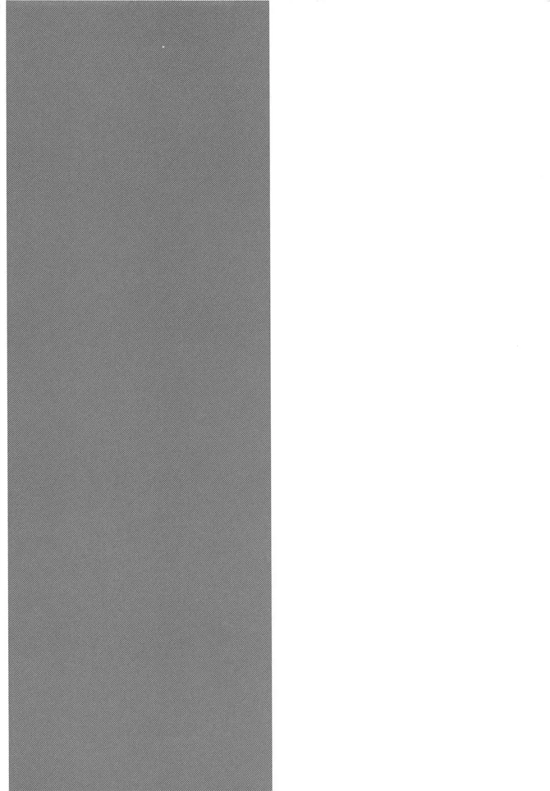 [Kuriyuzu Kuryuu] PriConne Konekone Re:Dive! 2.5 Fhentai - Page 3