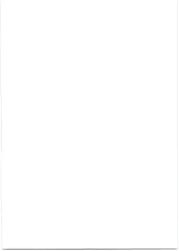 [Clearite] Bradamante Sperm Brothers Fhentai - Page 2