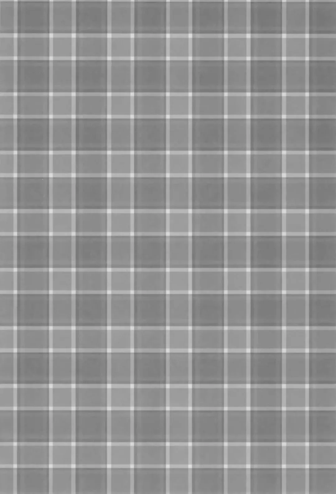 [Homu] Toaru Misaki no Delusion Fhentai - Page 5