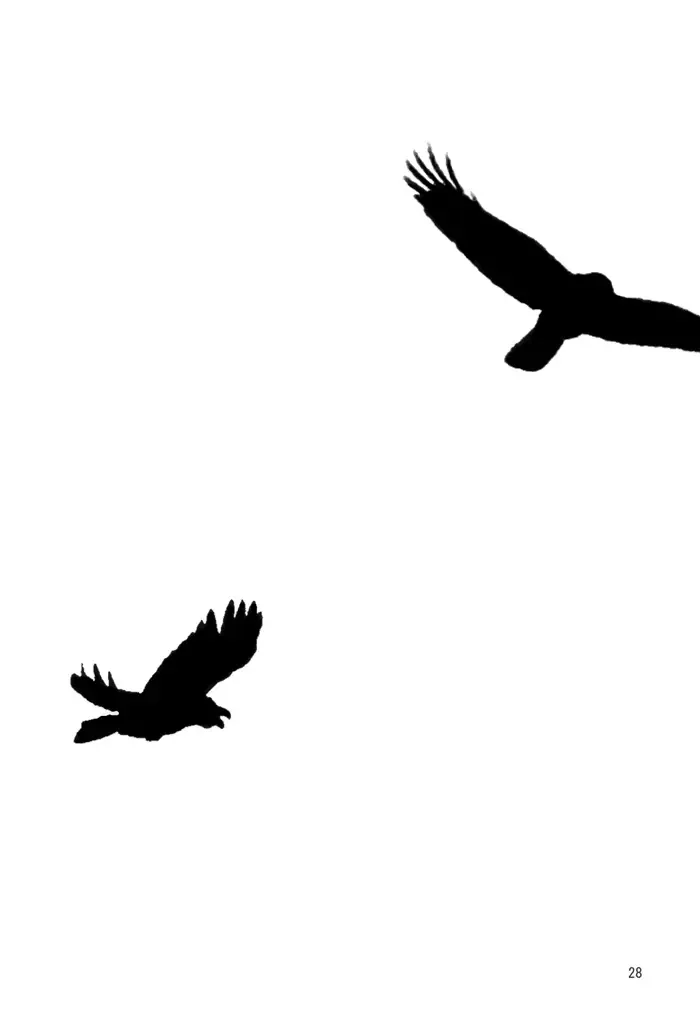 [Yoneda Kou] Borderless 1-3 Fhentai - Page 31