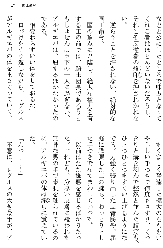 [Terujirou] Kokuou Meirei Fhentai - Page 17