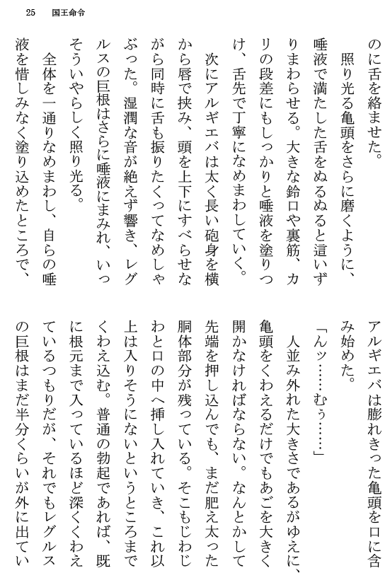 [Terujirou] Kokuou Meirei Fhentai - Page 25