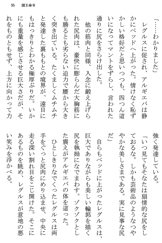 [Terujirou] Kokuou Meirei Fhentai - Page 35