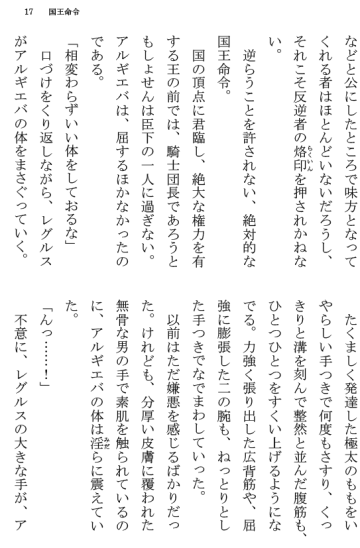 [Terujirou] Kokuou Meirei Fhentai - Page 17