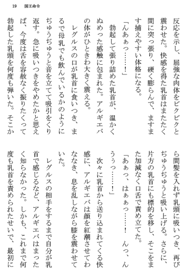 [Terujirou] Kokuou Meirei Fhentai - Page 19