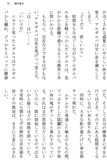 [Terujirou] Kokuou Meirei Fhentai - Page 21