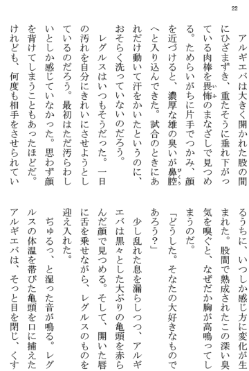[Terujirou] Kokuou Meirei Fhentai - Page 22